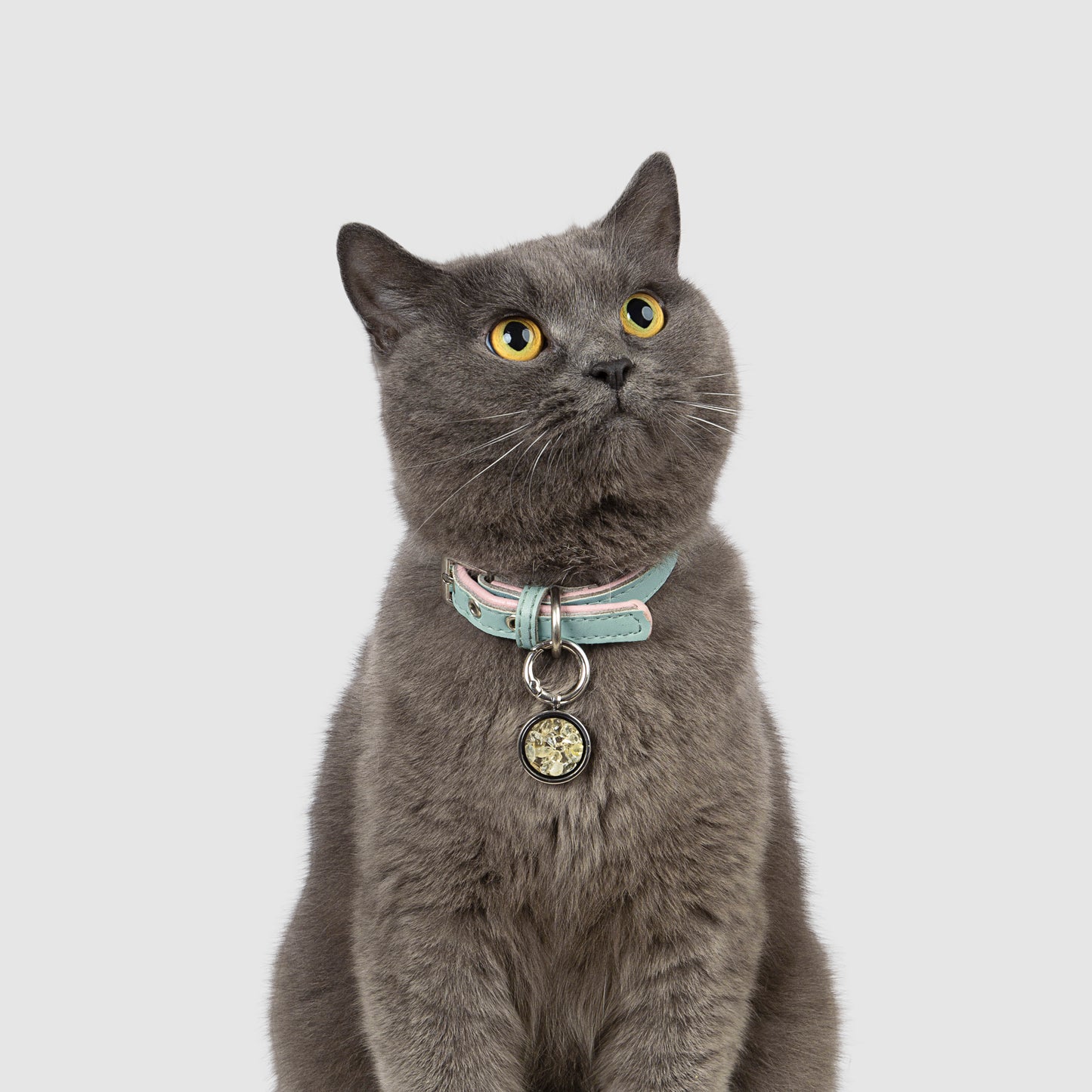 DIY Mix&Match Crystal Connection Pendants – Wear together with your fur babies Pets - STANDARD SET