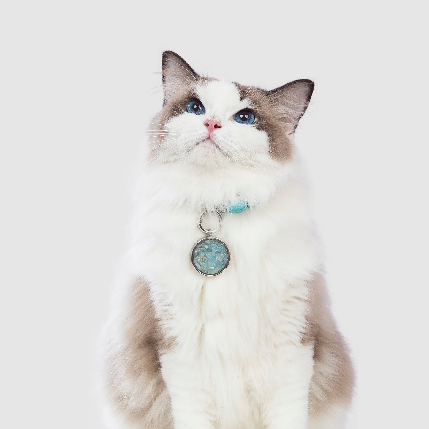 DIY Mix&Match Crystal Connection Pendants – Wear together with your fur babies Pets - PREMIUM SET